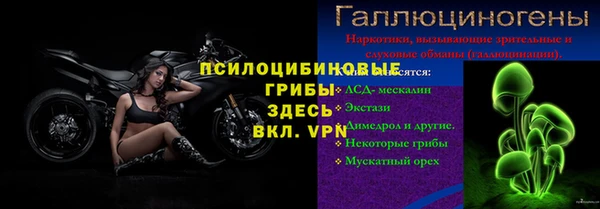 мет Алексин
