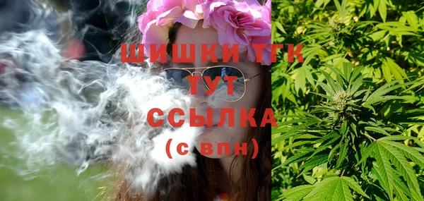 мет Алексин