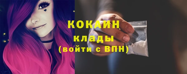 мет Алексин