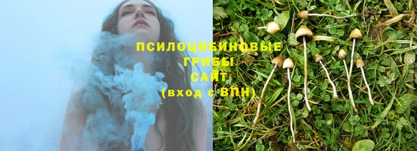Альфа ПВП Алзамай