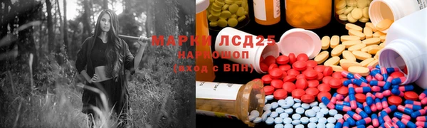 мет Алексин